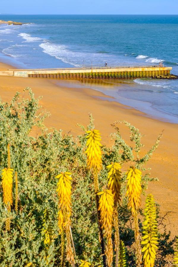 Beach Studio In Albufeira'S Old Town 외부 사진